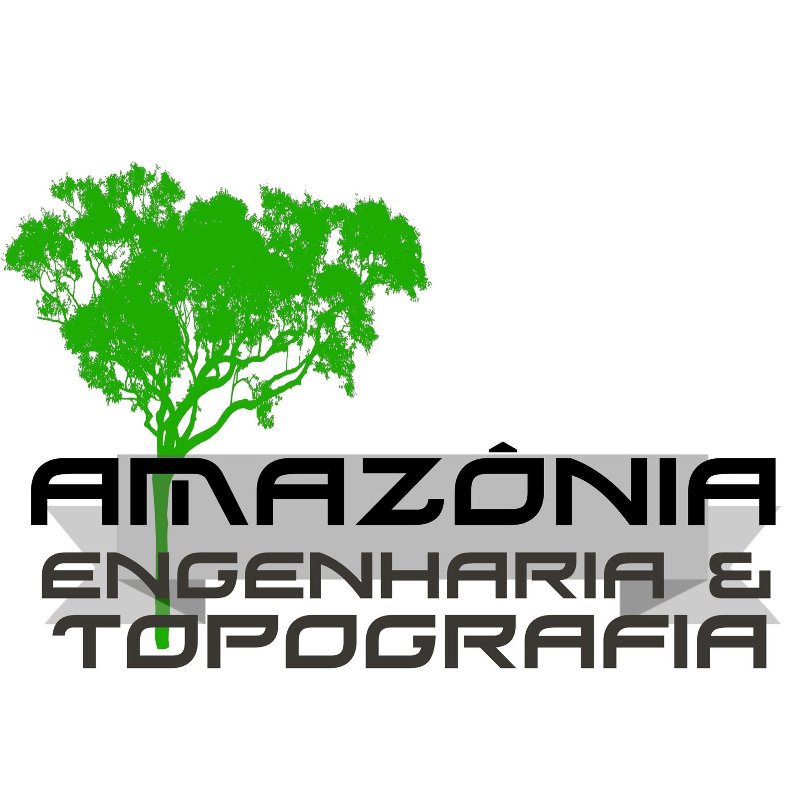 Amazônia Engenharia e Topografia